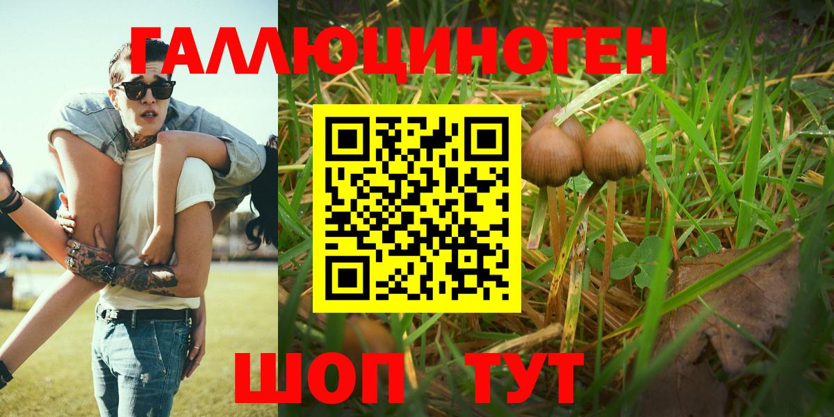 Кубинка  Галлюциногенные грибы MAGIC MUSHROOMS  Вход с VPN 