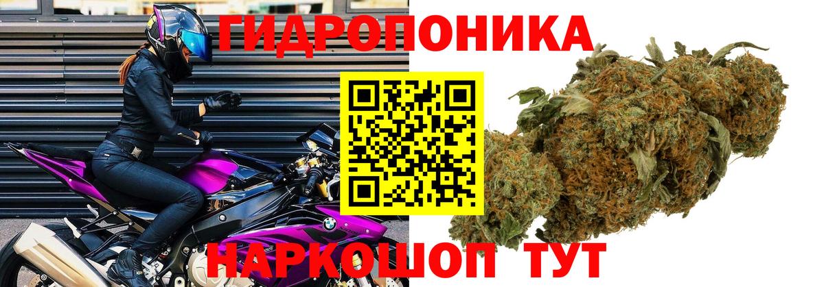 Конопля марихуана  Вход с VPN  Конопля конопля  Кубинка  Канабис конопля 